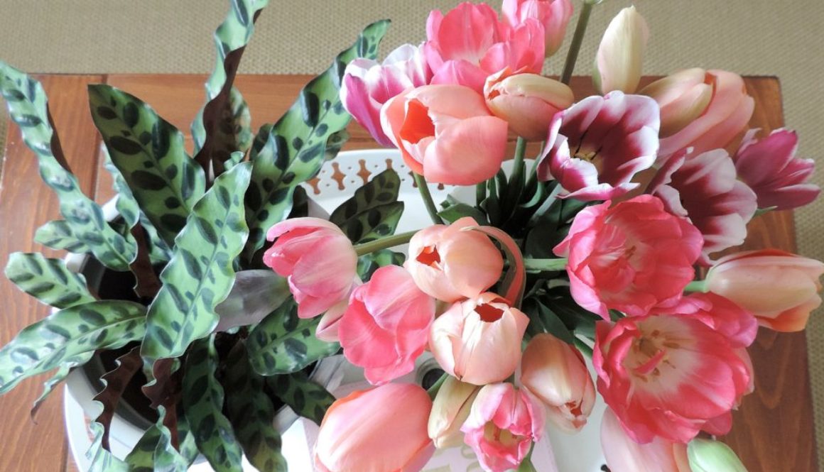 Inspiration: les tulipes de mon jardin